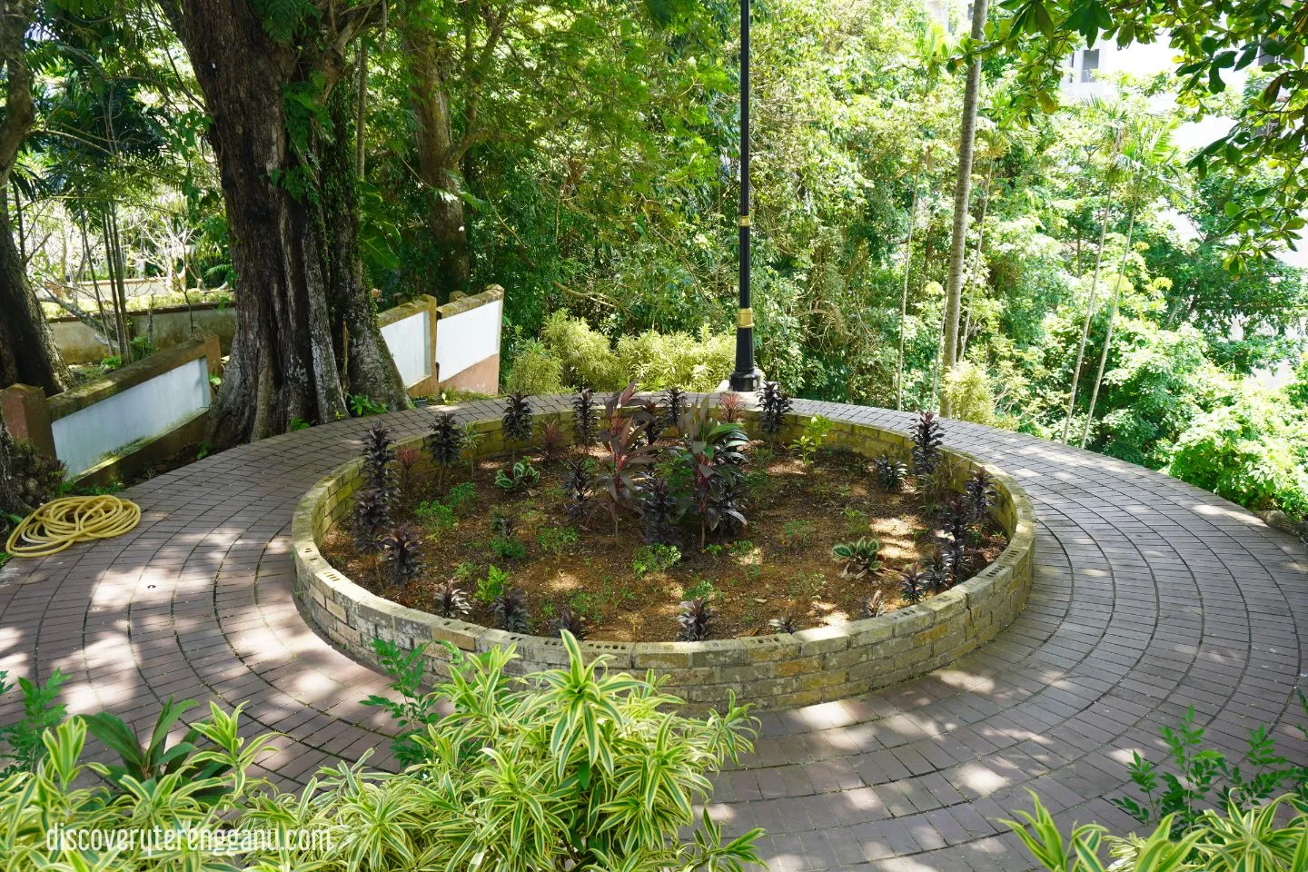 Kawasan tanaman di Bukit Puteri