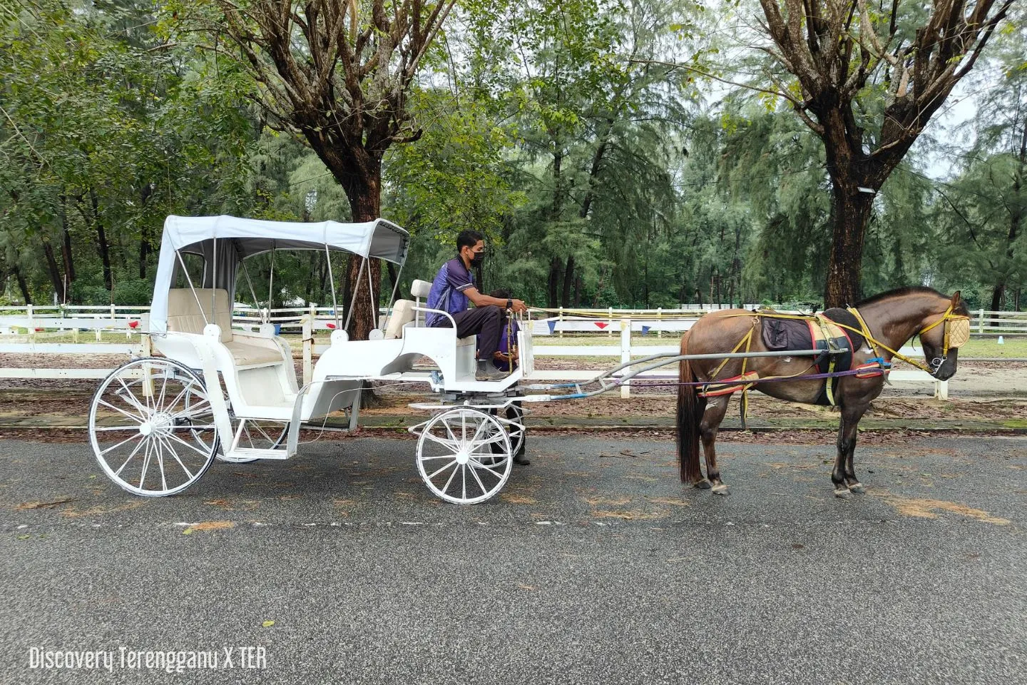 Terengganu Equestrian Resort (TER)
