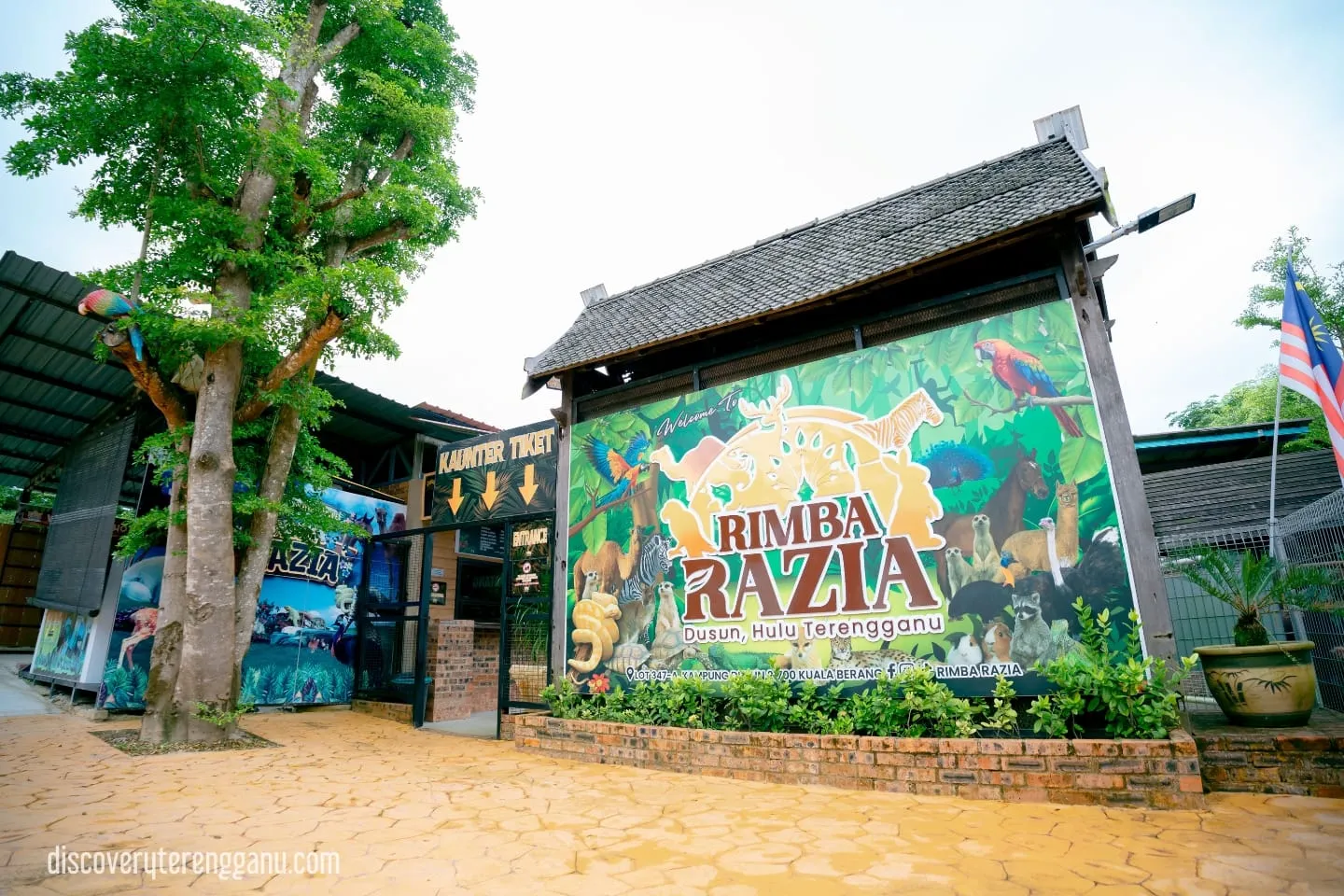 Rimba Razia