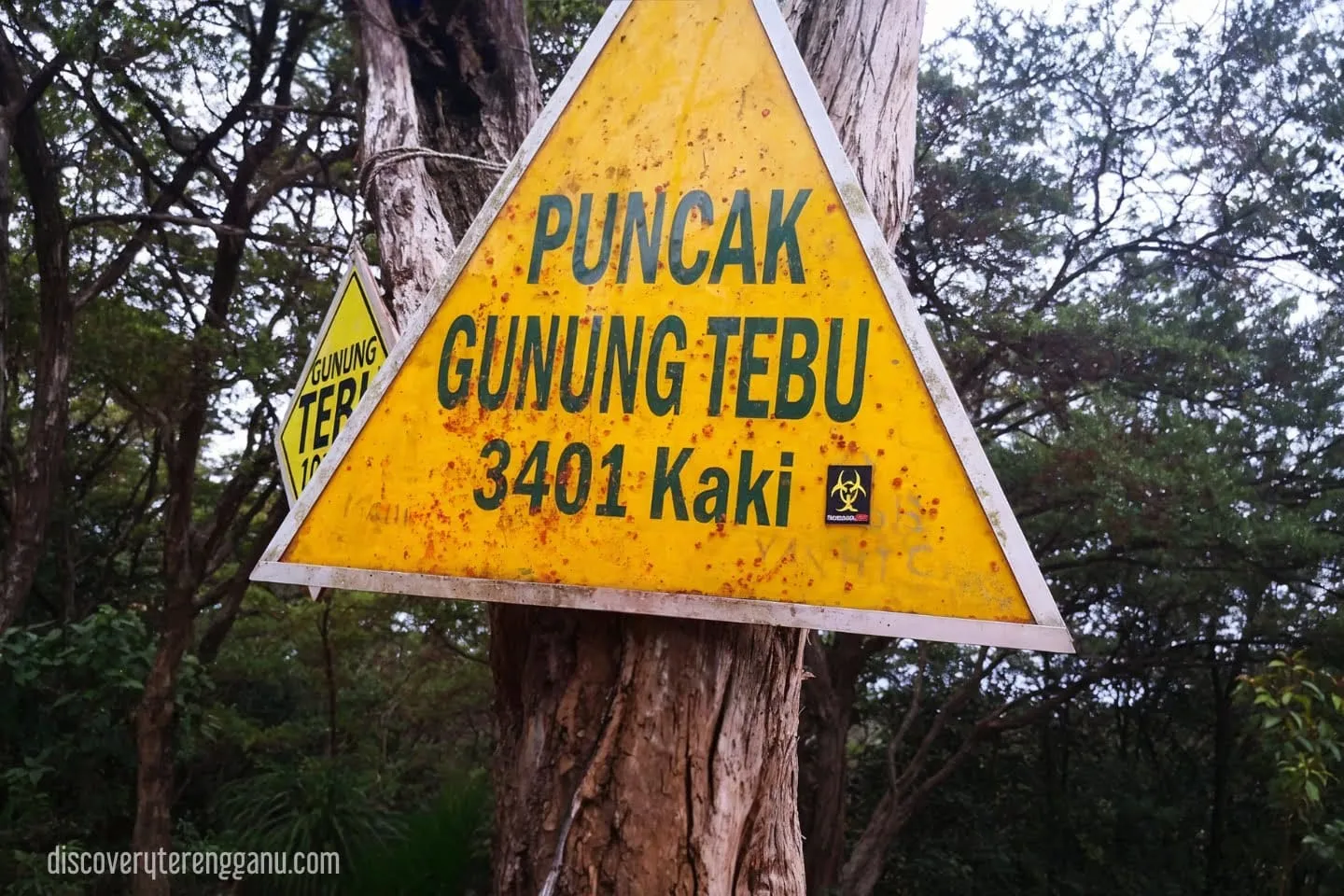 Gunung Tebu