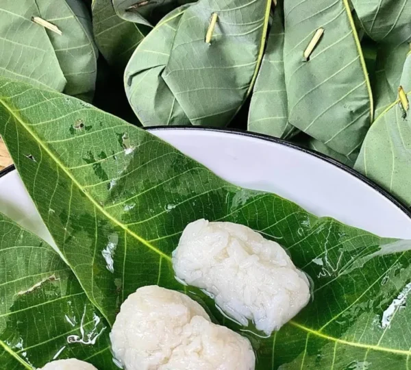 Tapai Daun Getah