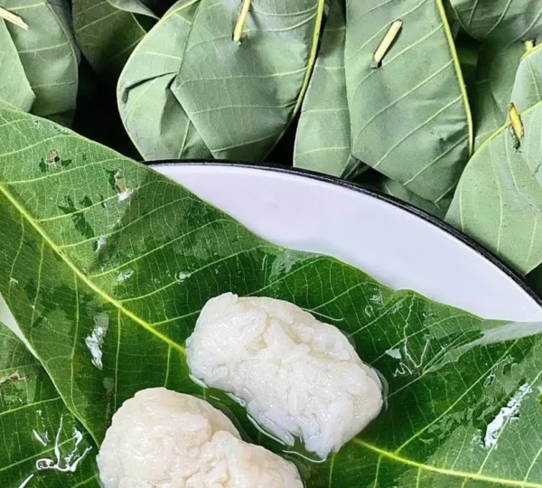 Tapai Daun Getah