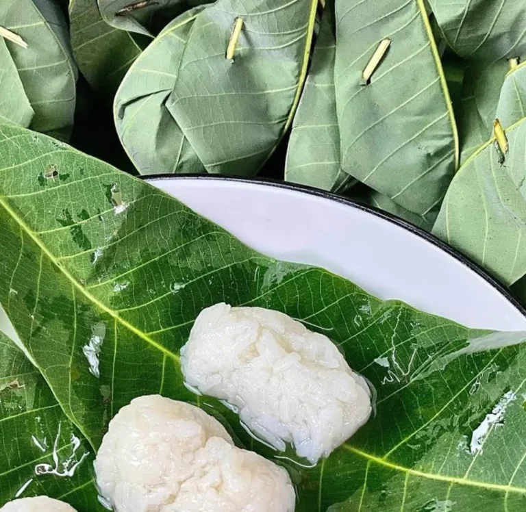 Tapai Daun Getah Terengganu