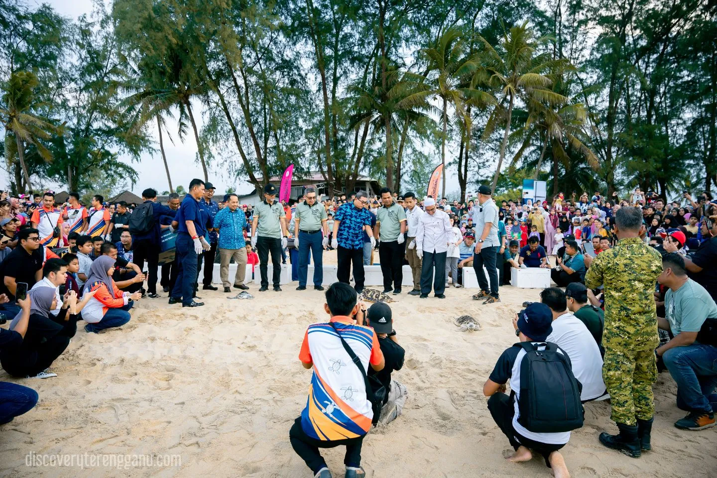Keindahan spesies penyu di Terengganu Malaysia
