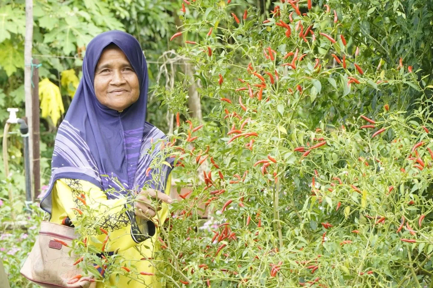Kampung Tebakang