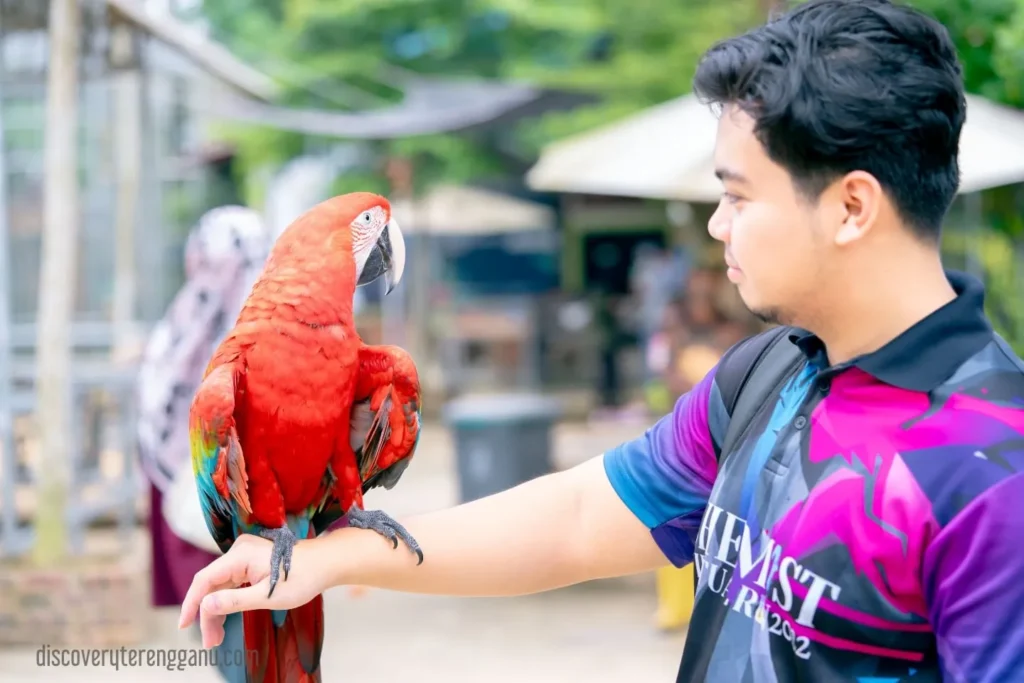 Berinteraksi dengan Burung Nuri 03121240
