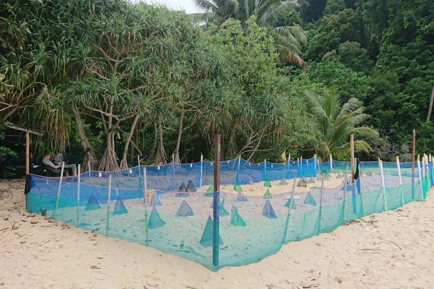 Bubbles Dive Resort