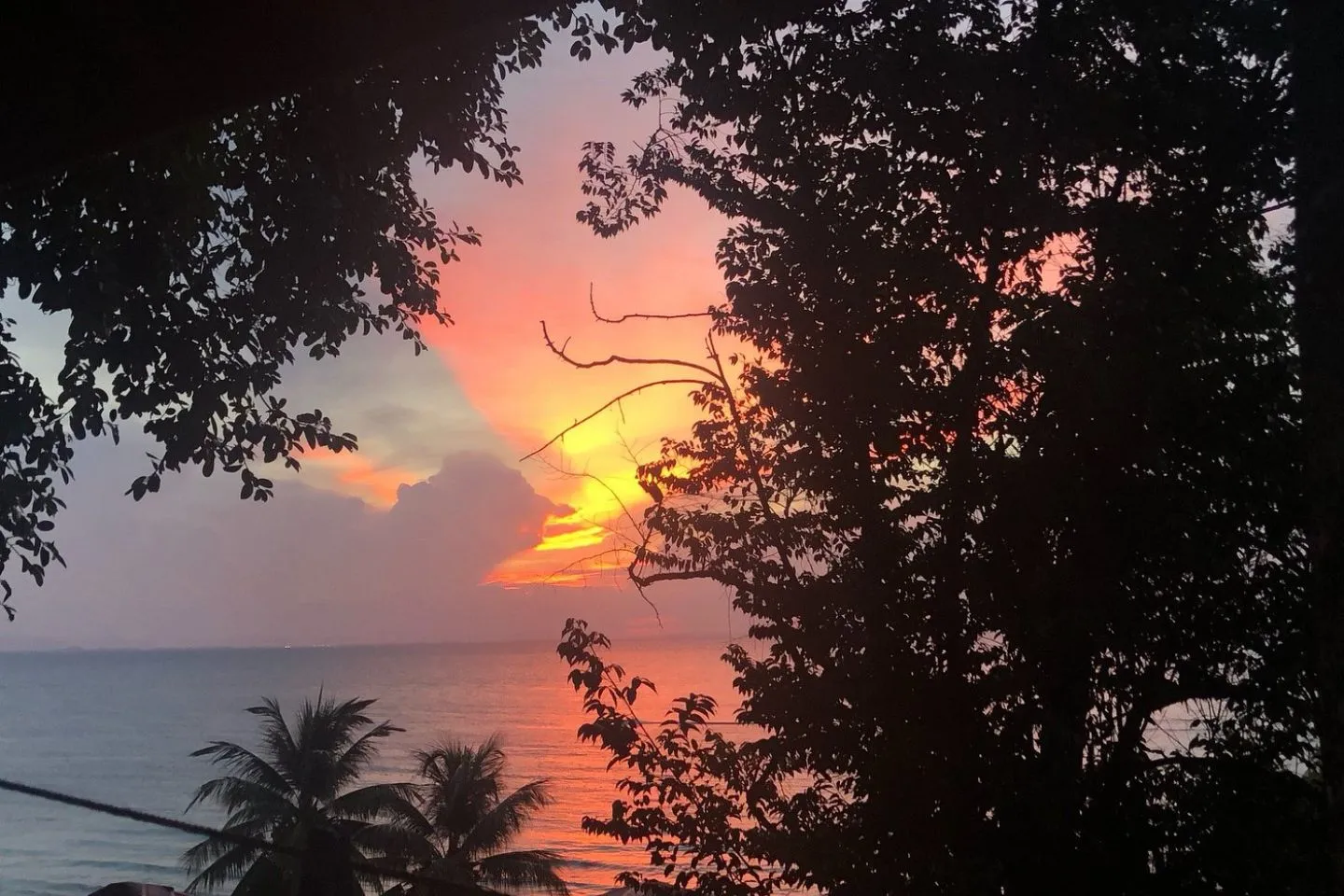 Senja Bay Resort