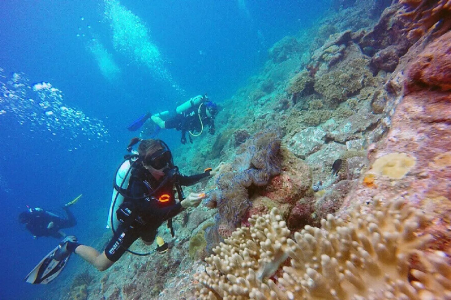 Tenggol Coral Beach Resort