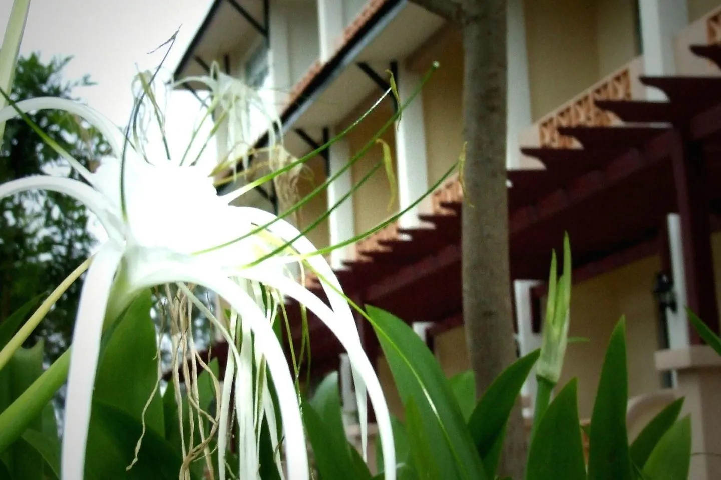 Hotel UiTM Dungun