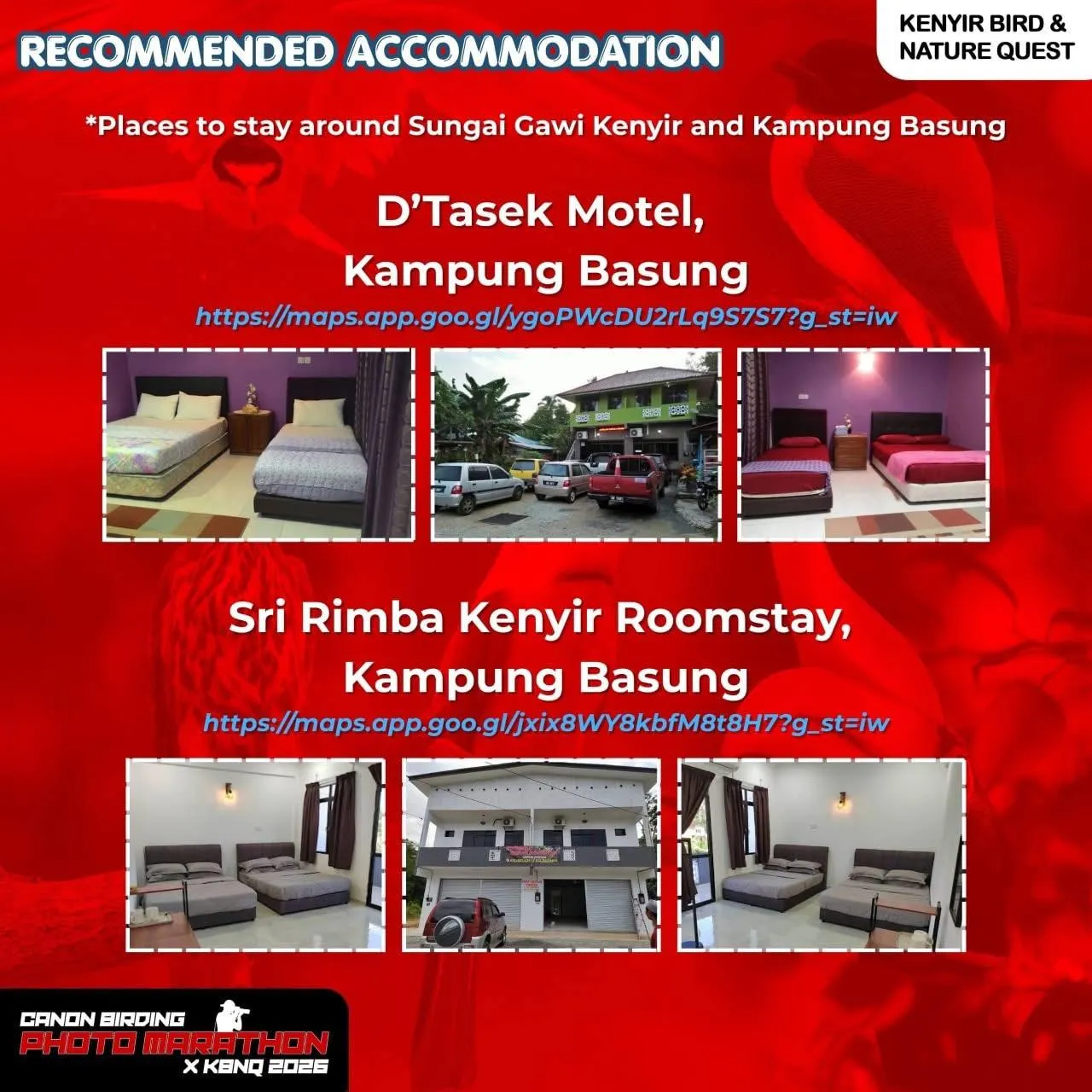Recommended Accomodation Kenyir Bird & Nature Quest 2026
