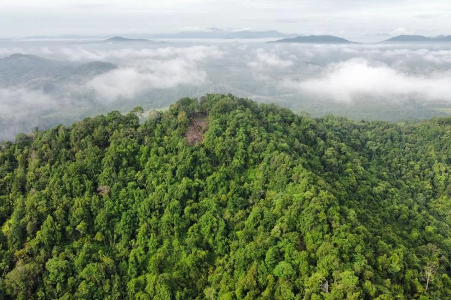 Bukit Tok Salai