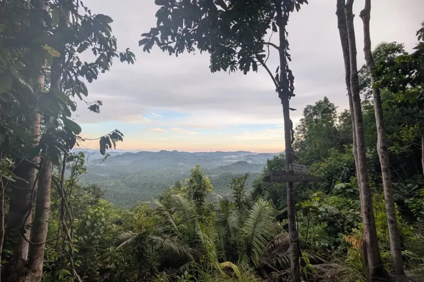 Bukit Tok Salai