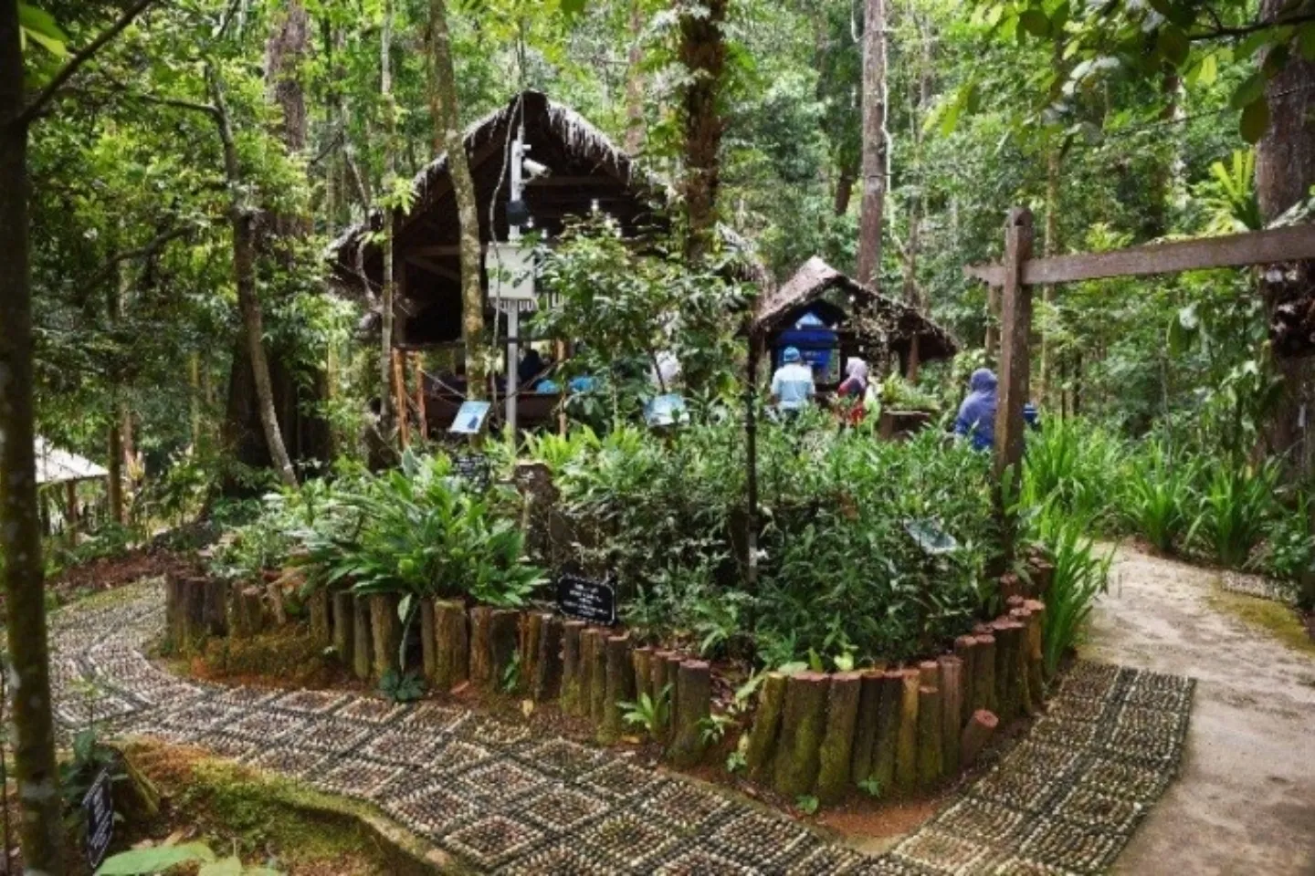 Taman Herba Kenyir