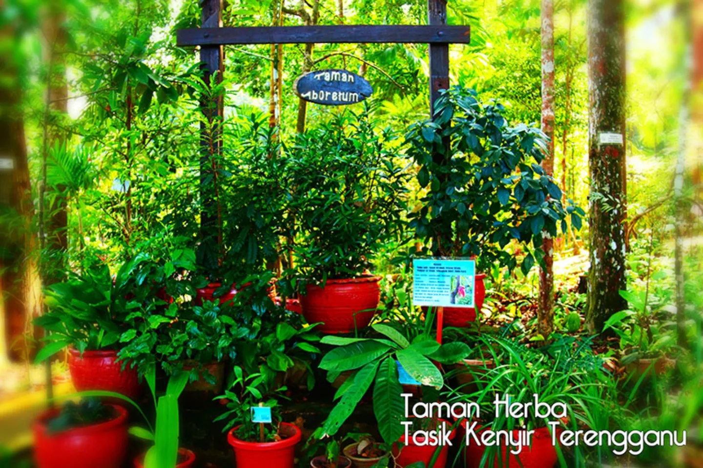 Taman Herba Kenyir