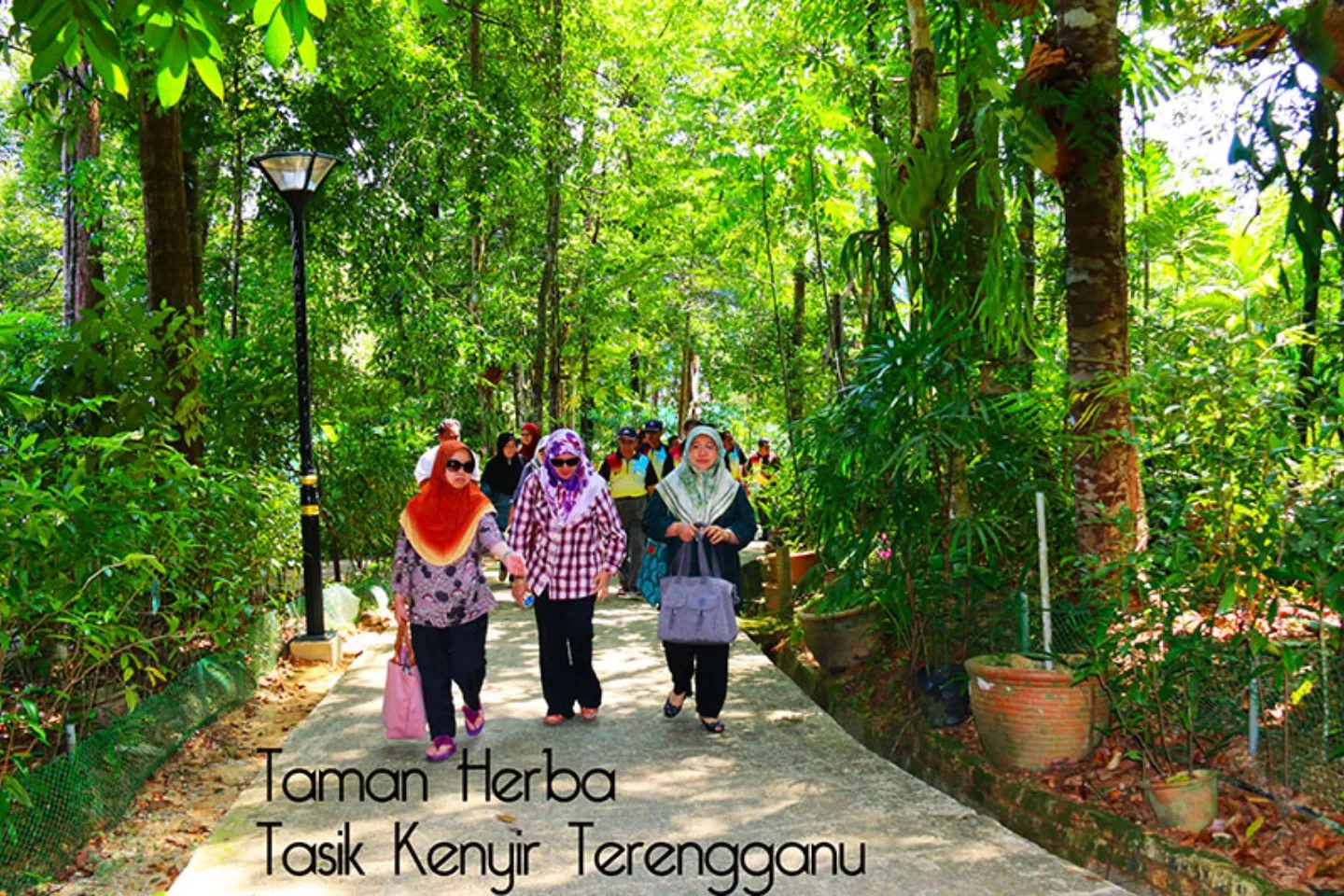 Taman Herba Kenyir