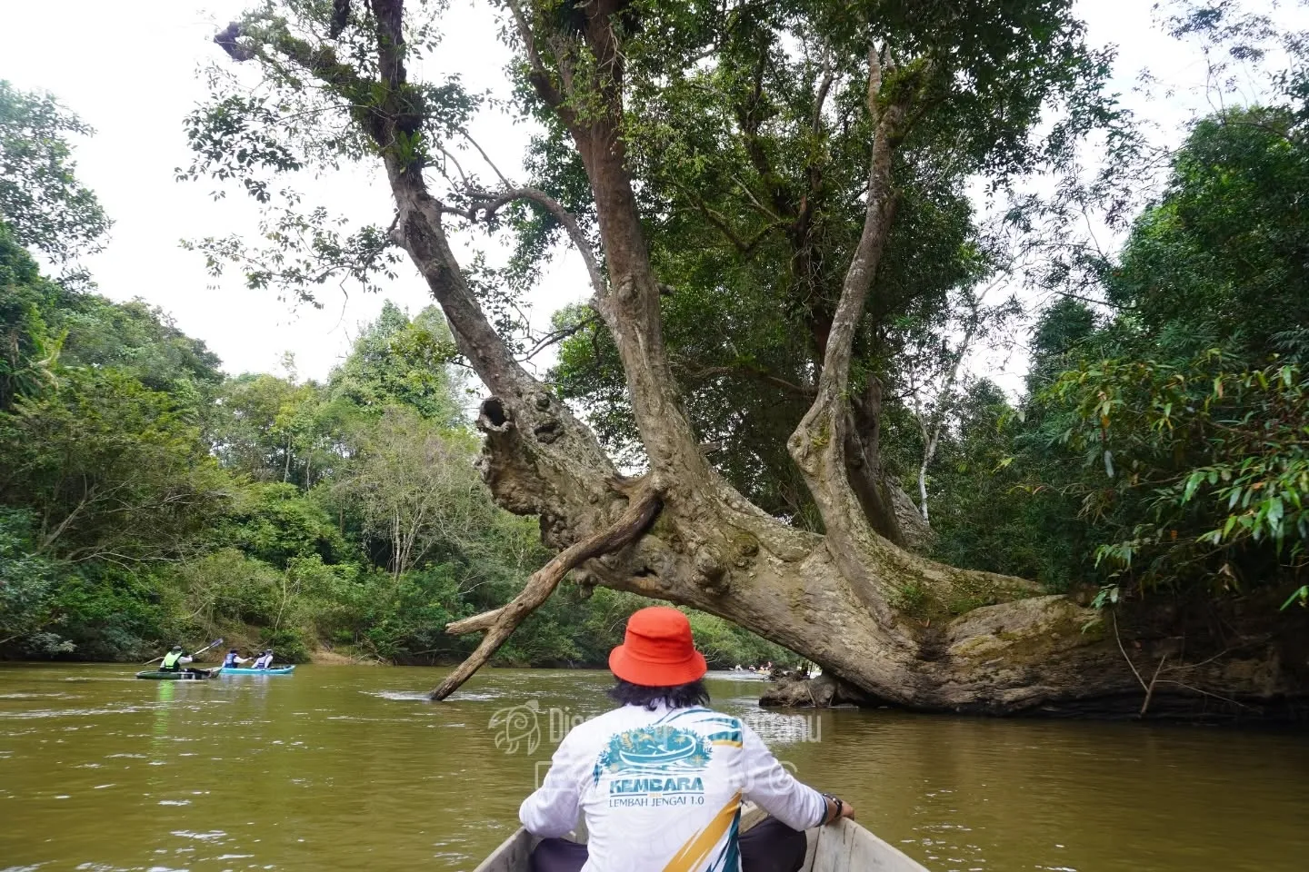 Program Kayak Kembara Lembah Jengai 2026 — gambar 6 di Lembah Jengai