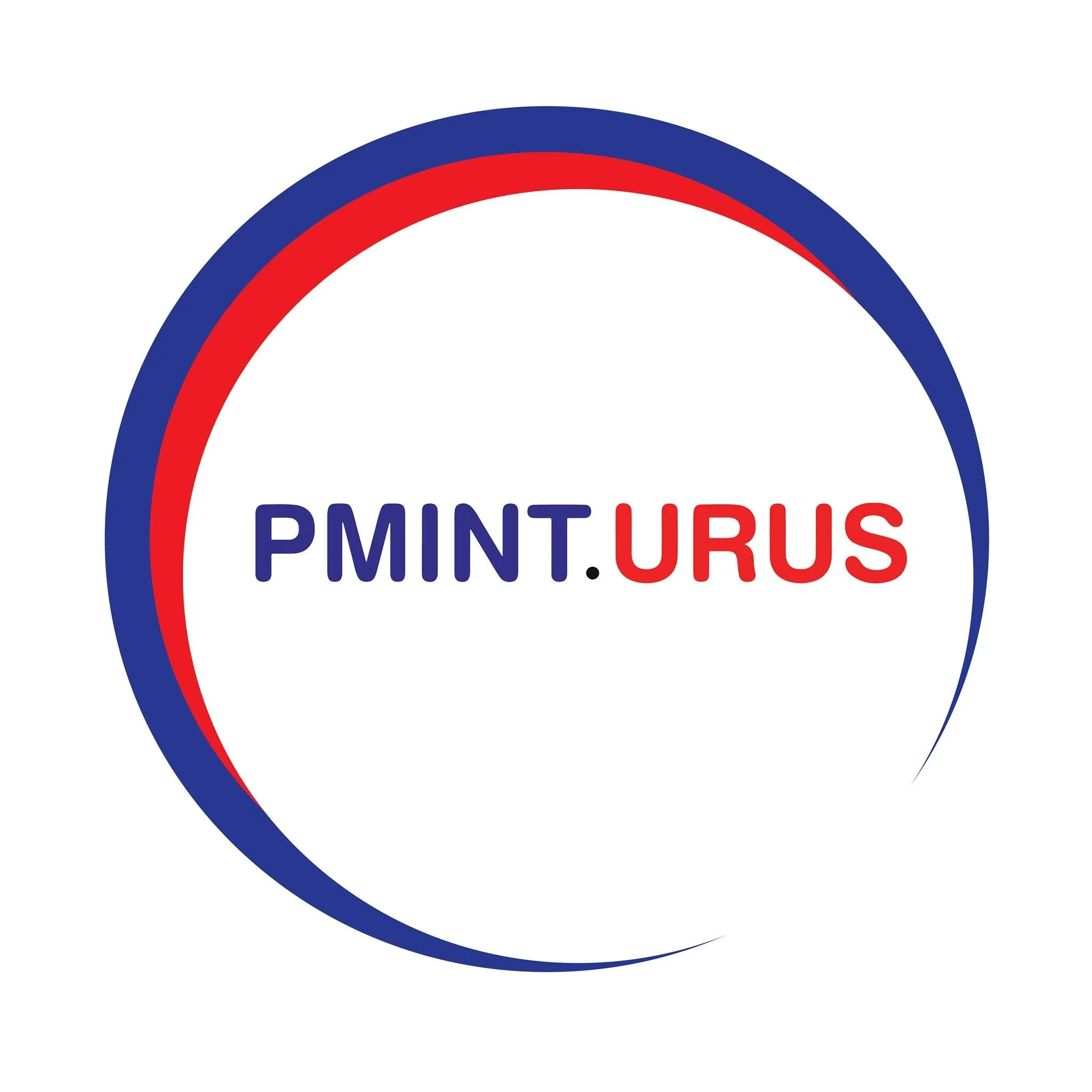 Logo PMINT