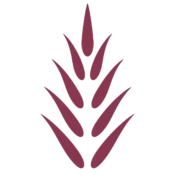 Logo Mayang Mall