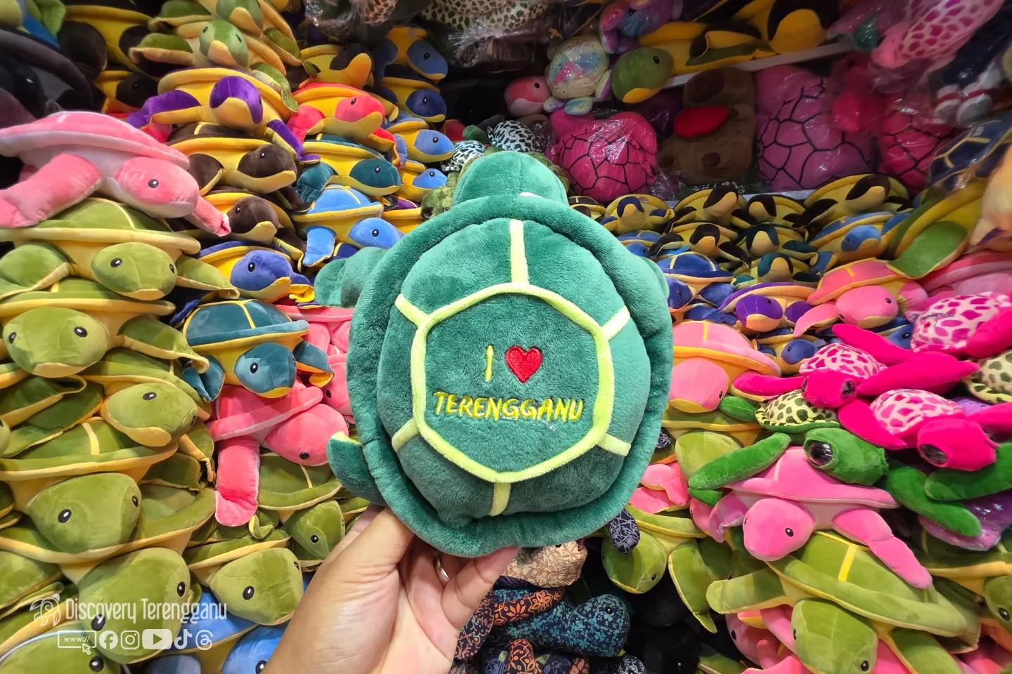 Tangan memegang patung penyu lembut berwarna hijau bersulam I love Terengganu, dengan timbunan patung penyu pelbagai warna di belakang