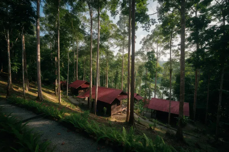 Ilustrasi beberapa lodge kayu di lereng hutan dengan pemandangan tasik