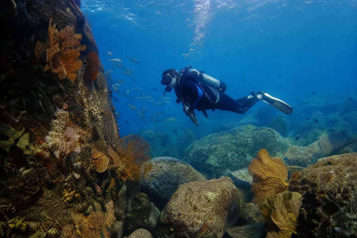 Ilustrasi AI: penyelam skuba berenang di antara batu granit besar yang diliputi karang lembut dan kipas laut
